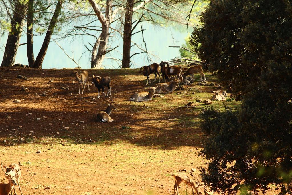 Hotel Balneario Parque De Cazorla Arroyo Frío Eksteriør bilde