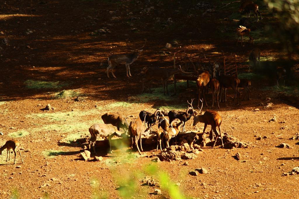 Hotel Balneario Parque De Cazorla Arroyo Frío Eksteriør bilde