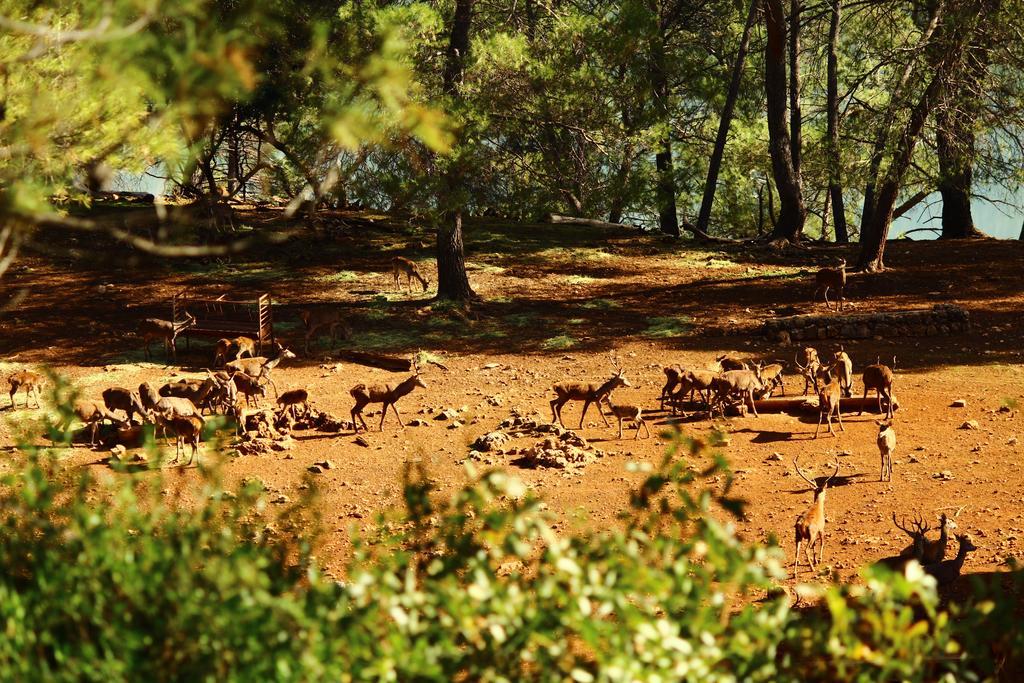 Hotel Balneario Parque De Cazorla Arroyo Frío Eksteriør bilde