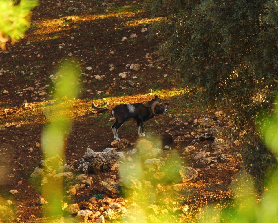 Hotel Balneario Parque De Cazorla Arroyo Frío Eksteriør bilde